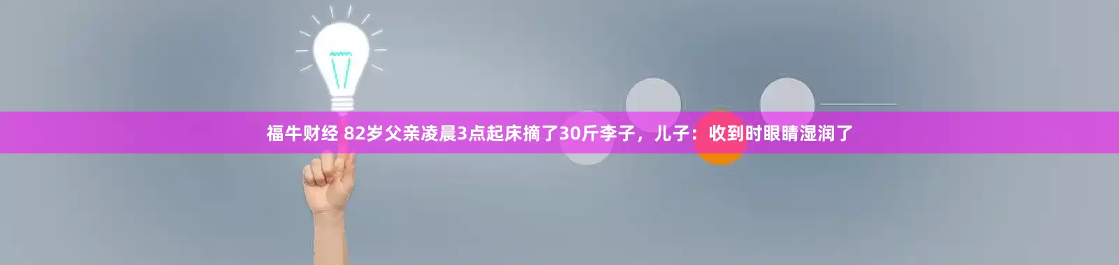 福牛财经 82岁父亲凌晨3点起床摘了30斤李子，儿子：收到时眼睛湿润了
